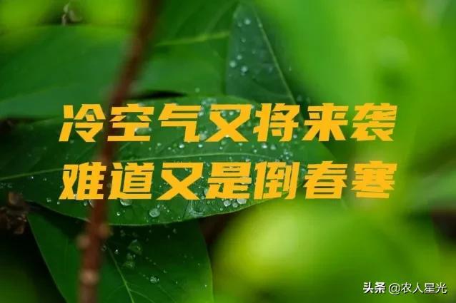 天气预报：新一轮冷空气来袭，局部降温超10℃，倒春寒又来了吗？