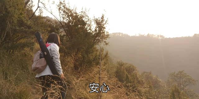 杭州登山徒步路線17：野路有趣，但不建議盲目去爬
