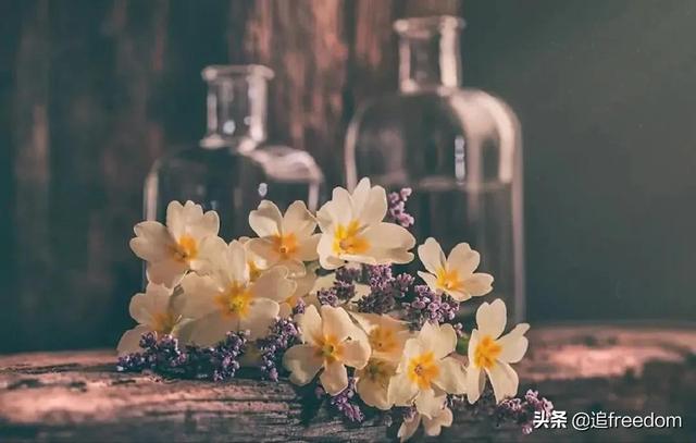 人生的三次觉醒：自律，自愈，自足