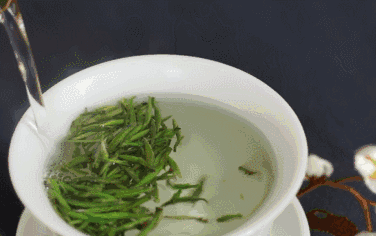 便宜又有用！十大增强免疫力的“平民”食物，家家户户都买得起