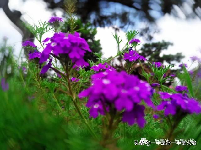随笔：人生里，有些快乐一点也不复杂（三章）