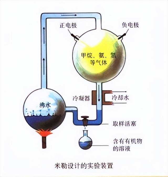 生命是如何起源的？