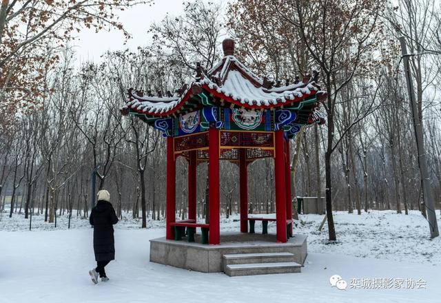 文人墨客赞赏雪（自古以来文人墨客对雪情有独钟）