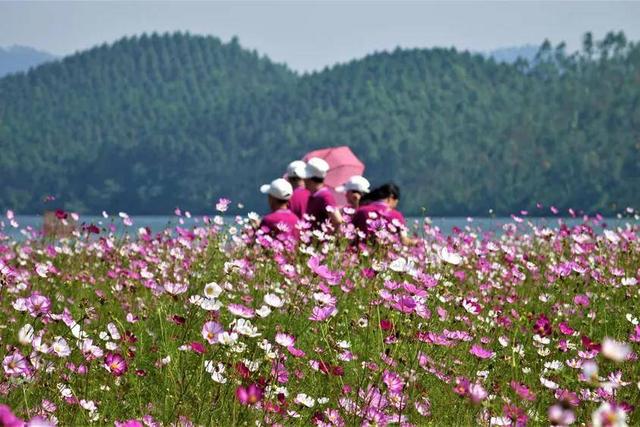 這裏有千島風光 這裏有風車雲海，這裏與繁華無關 卻與天地相連