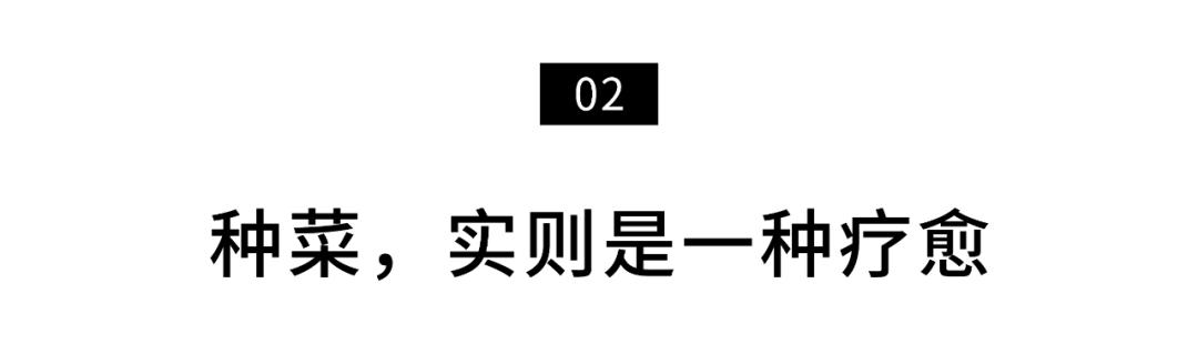 小夫妻在5.9㎡阳台种菜，疫情下蔬果不断11