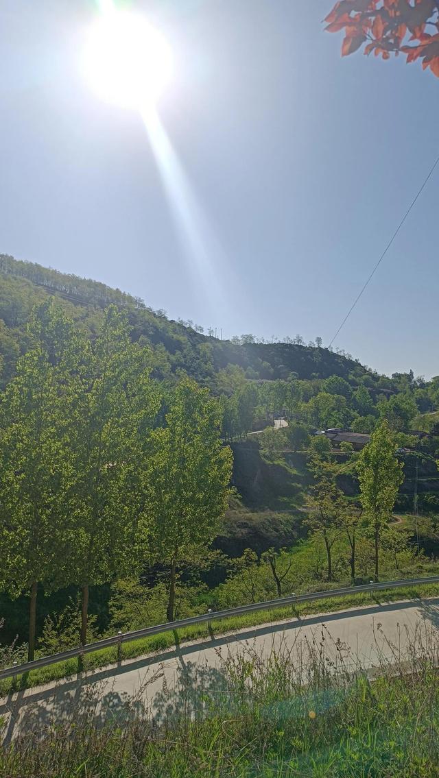 立夏之怡情小记