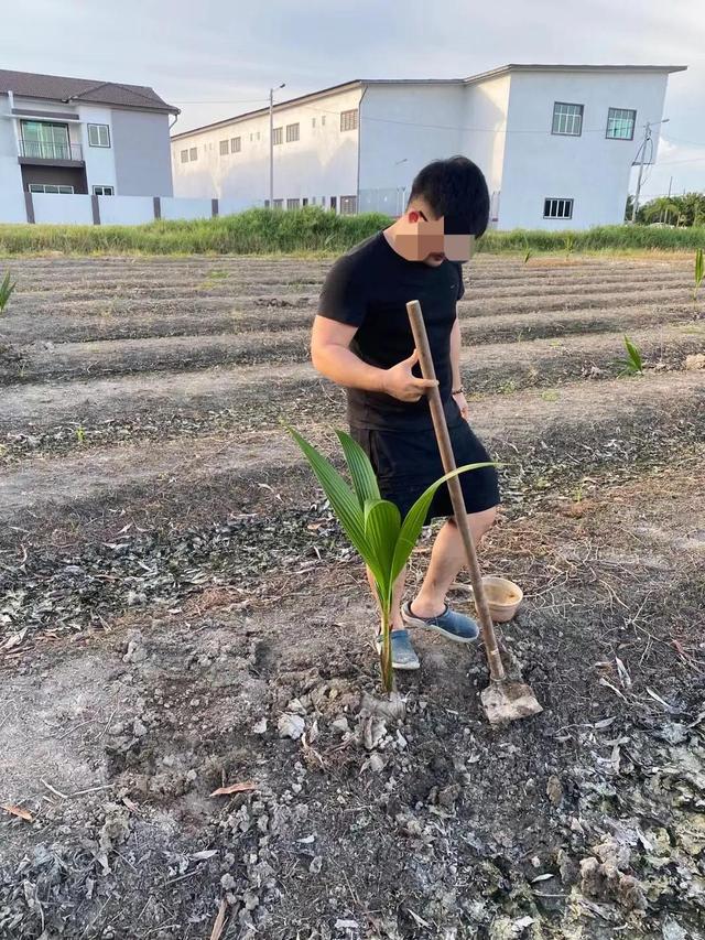 在馬來西亞小鎮的華人家中，我見識了與國內截然不同的育兒方式