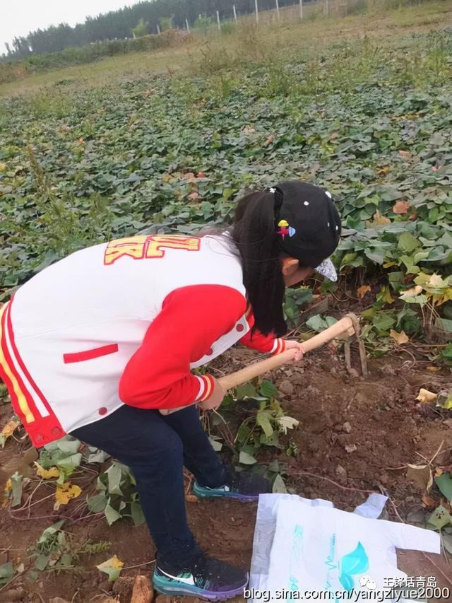 果筐破碎机自动接料