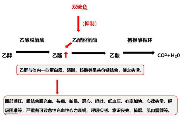 头孢配酒，说走就走！除了头孢，这8种药也别沾酒，你在吃吗？