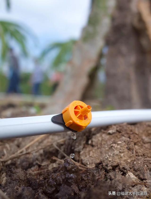 沈阳离心式过滤机
