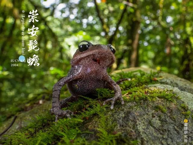 甘肃洗风化砂机哪里卖