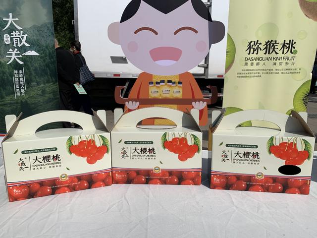 农业品牌营销顶层设计案例——陕西某镇农业公共品牌策划案