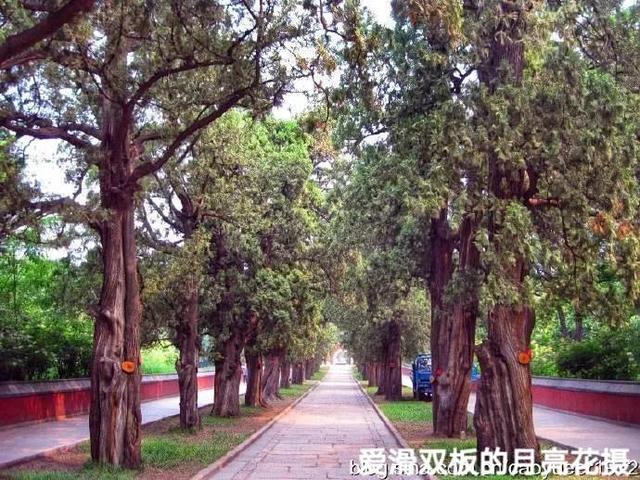 遊京郊臥佛寺隨感