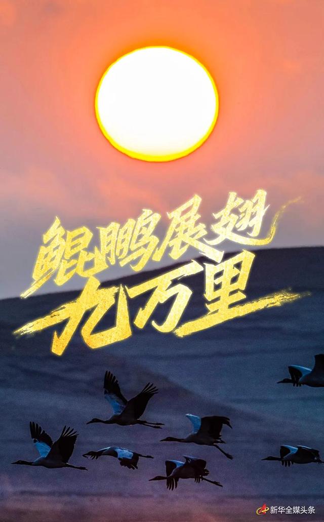 东阳制砂机锤头生产厂家的简单介绍