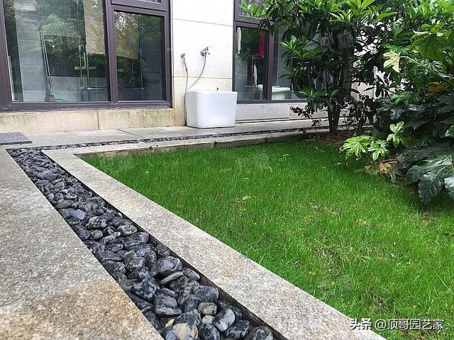 暴风雨来袭，你家花园可曾安好？