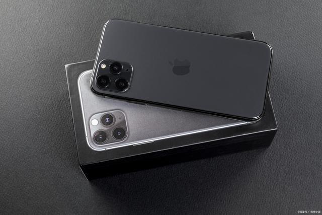 iPhone SE3，舍不得孩子套不到狼