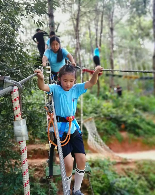 少年特训学校(少年特训学校费用)(图26)