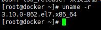 Linux环境中Docker容器安装与使用（一）