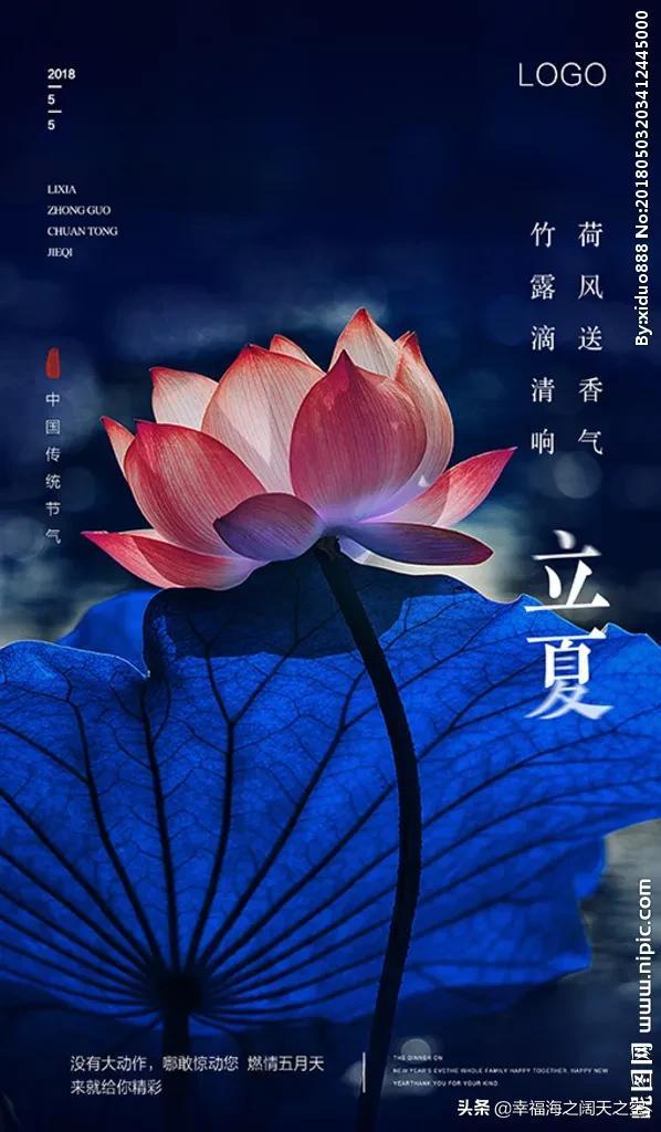云卷云舒，草长莺飞，又是暮春将立夏，自来自去燕入堂