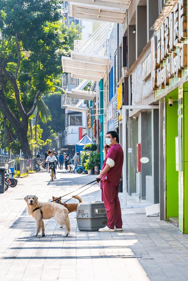 深圳宠物店