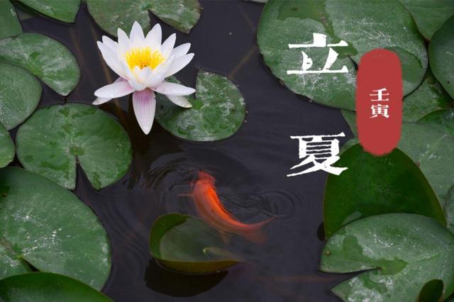 明日立夏，建议：喝1茶，吃2食，忌3样，应季而食，入夏更轻松