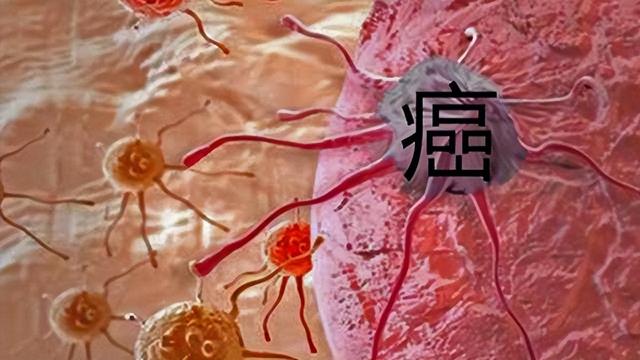 中国癌症高发与蚝油有关？加热会致癌？为了健康，请牢记这3点