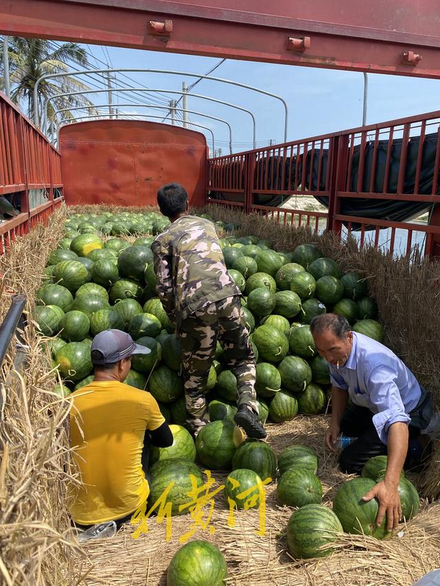 男子开绿通货车高速出入口称重相差4吨，两地各执一词