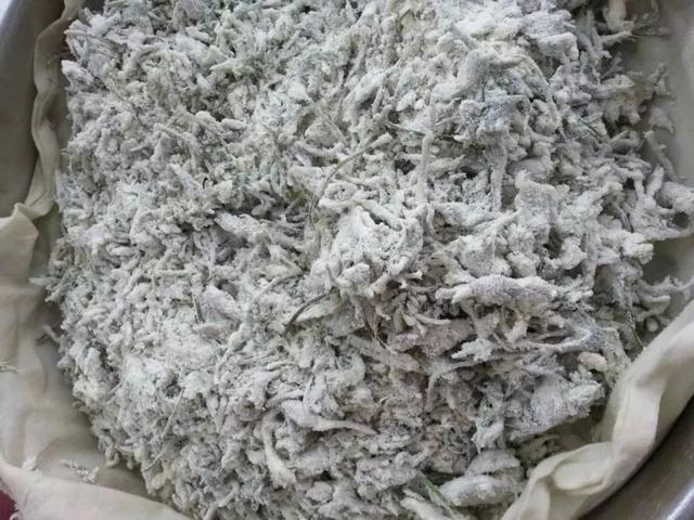 郑州野菜采摘地图出炉！香椿、荠荠菜...挖野菜全攻略，还不赶紧收藏