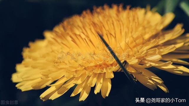 散文：一个人最大的悲哀，在于丢失自我