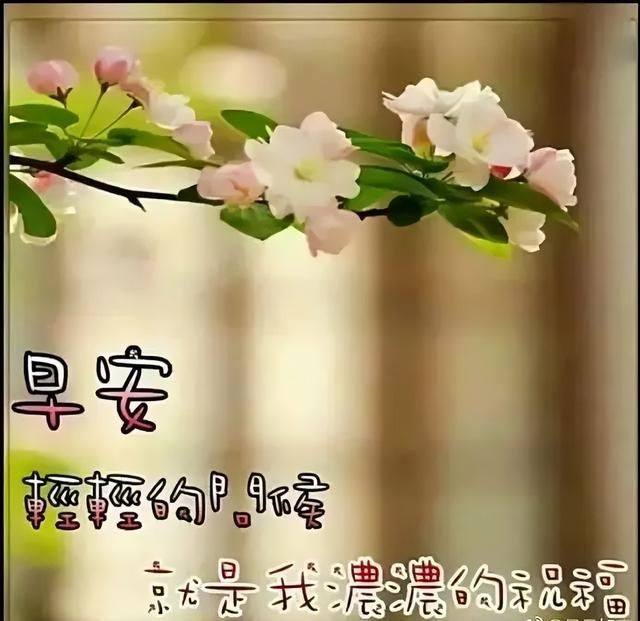 春天的早上好 超级温暖的问候 美好的画面 微信群发的早上好-站库网