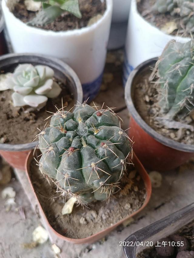 生活随笔记