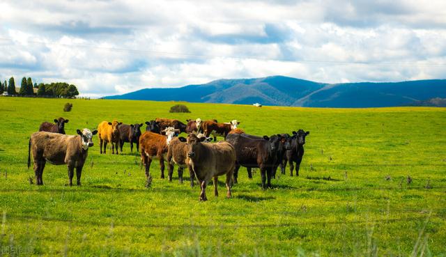 人均GDP最高的10个国家，他们分别靠什么产业赚钱？