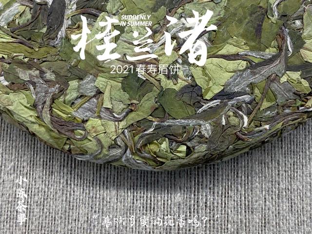 普洱洗砂机多少钱