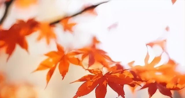 为何“中风”越来越多？都栽在这"3个字"上！