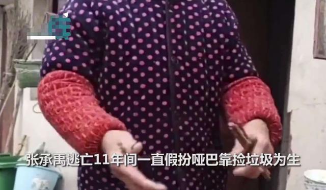 A级通缉犯张承禹：杀6人逃窜11年，装哑巴靠拾荒过活仍被抓
