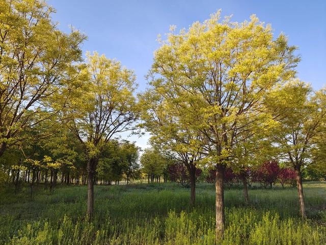 活成什么样子，才是别人眼中的风景？
