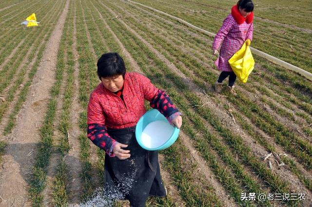 这五样肥料，只要往小麦地一喷，蘖多穗多，籽多粒饱，亩产1600斤7