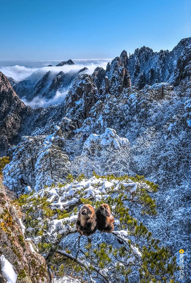 五指山破碎制砂机厂家
