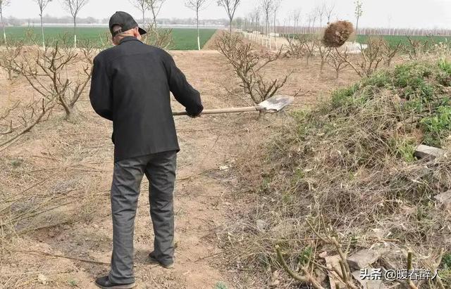 清明期间回故乡祭奠我的三娘 我想借已发布的短文寄托哀思缅怀亲人