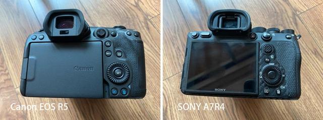 人像色彩表现 佳能eos R5 对比索尼a7r4哪款拍摄效果更好 Eos 柚子 手机版 Hi链圈 区块链交流社区