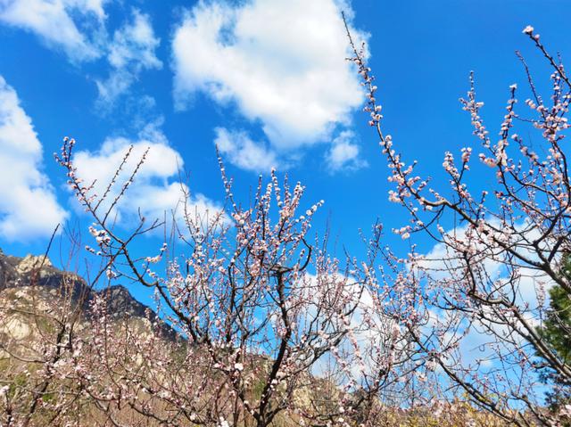 居庸关长城团建