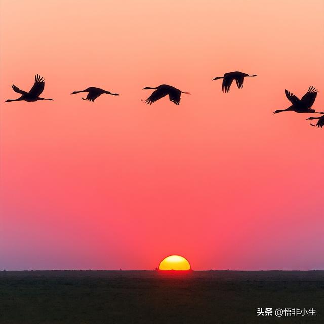 8首美到极致的外国短诗，认真读来，似曾相识