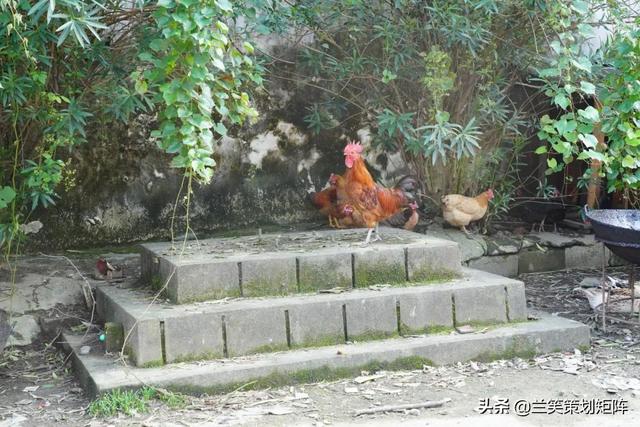 合肥水泥机械展