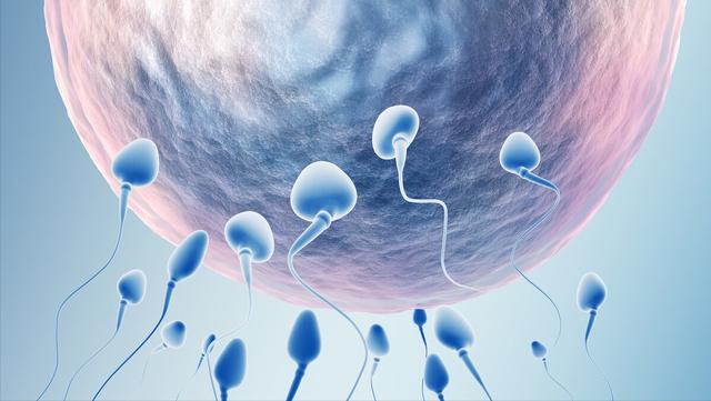 西方说：生下来就开始算一岁；我们：怀孕就开始算； 谁正确？