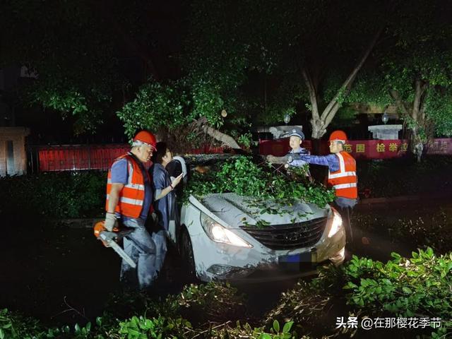赣州雨҈雨҈雨҈，大树被折断，汽车被压，小心…