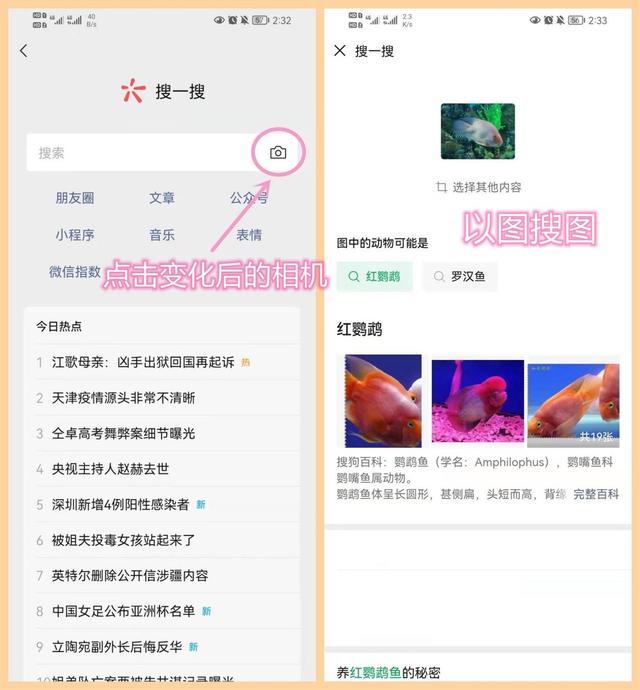 [大宝转发朋友圈]，微信通知框变小怎么调