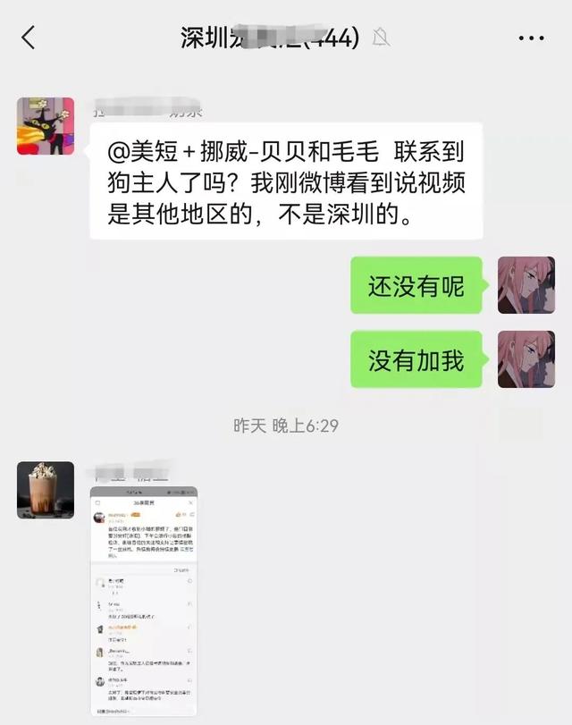 “确诊后，我的猫就要被人道销毁？”