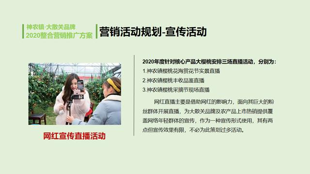 农业品牌营销顶层设计案例——陕西某镇农业公共品牌策划案