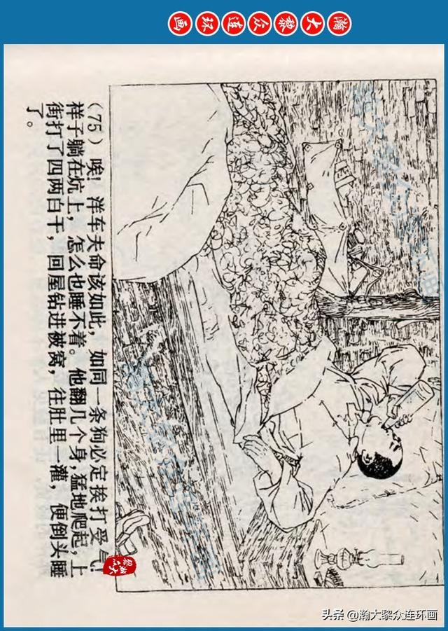 骆驼祥子插图简笔画