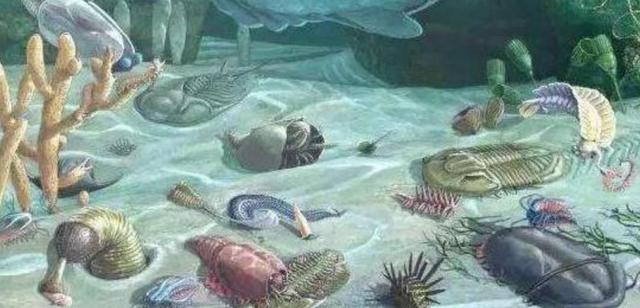 石油是古生物形成的？一个油田上亿吨石油，有那么多古代生物吗？